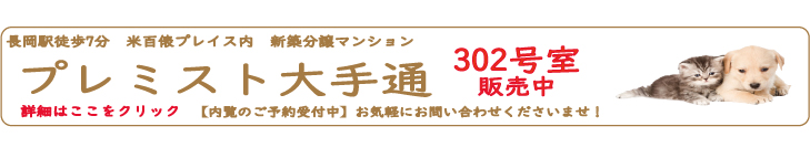 プレミスト大手通